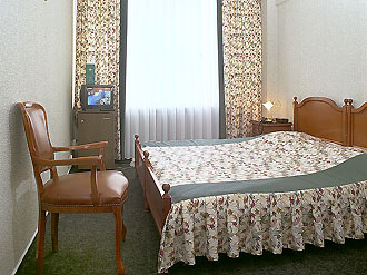 Single Room at the Aeropolis Hotel in Moscow, Russia