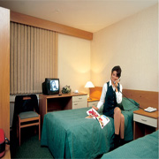 Standard Twin Room at the Airhotel Domodedovo in Moscow, Russia