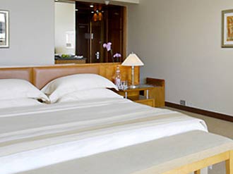Park Deluxe King Room at the Ararat Park Hyatt Hotel in Moscow, Russia