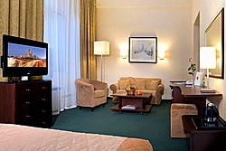 Executive Double Room at Aerostar Hotel in Moscow, Russia