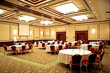 Petrovsky A Conference Hall at Aerostar Hotel, Moscow, Russia