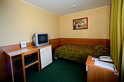Economy Single Room at Airhotel Domodedovo in Moscow, Russia