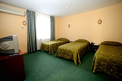 Economy Triple Room at Airhotel Domodedovo in Moscow, Russia
