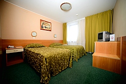 Economy Twin Room at Airhotel Domodedovo in Moscow, Russia
