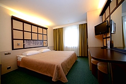 Standard Double Room at Airhotel Domodedovo in Moscow, Russia