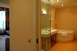Studio Room Bathroom at Aquarium Hotel in Moscow, Russia