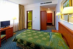 Standard Single Room at Borodino Hotel in Moscow, Russia