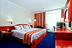  Standard Double Room at Holiday Inn Moscow Vinogradovo Hotel in Moscow, Russia
