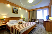 Business Double Room at Izmailovo Alfa Hotel in Moscow, Russia