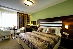 Superior Room at Izmailovo Alfa Hotel in Moscow, Russia