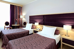 Business Class Premium Twin Room at Izmailovo Delta Hotel in Moscow, Russia