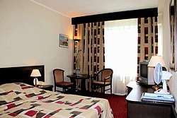 Standard Double Room at Izmailovo Gamma Hotel in Moscow, Russia