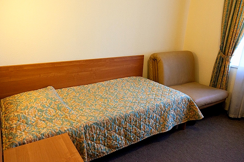 Standard Single Room at Maxima Zarya Hotel in Moscow, Russia