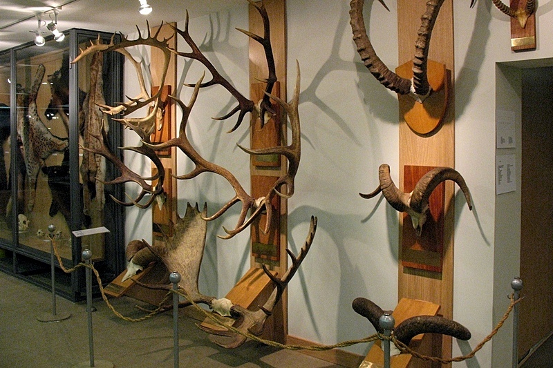 Museum of Hunting at Okhotnik Hotel in Moscow, Russia