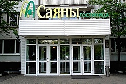 Sayany Hotel in Moscow