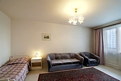 Standard One-Room Apartment at Tsaritsyno Hotel in Moscow