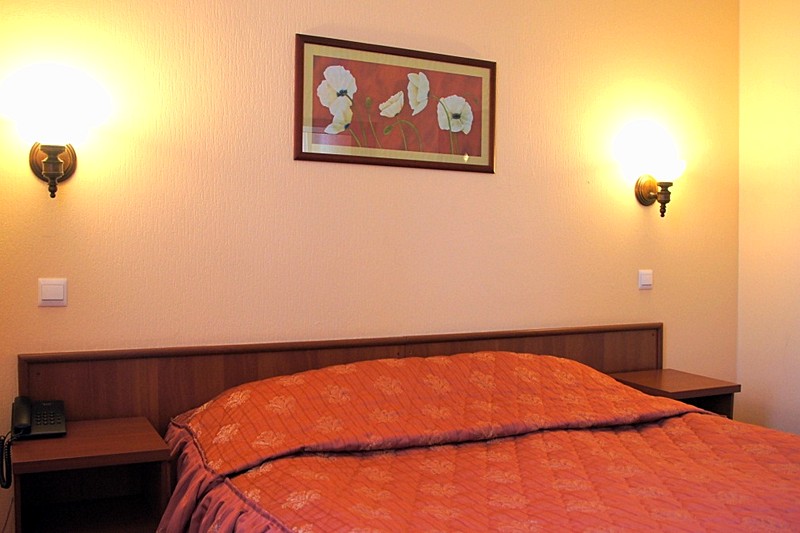 Standard Double Room at the Zolotoy Kolos Hotel in Moscow