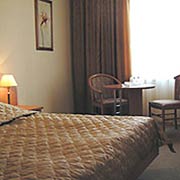 Business Double Room at the Izmailovo Gamma-Delta Hotel in Moscow, Russia