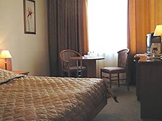 Business Double Room at the Izmailovo Gamma-Delta Hotel in Moscow, Russia