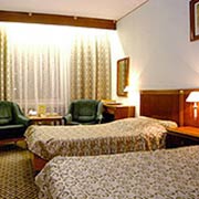 Business Twin Room at the Izmailovo Gamma-Delta Hotel in Moscow, Russia
