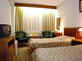 Business Twin Room at the Izmailovo Gamma-Delta Hotel in Moscow, Russia