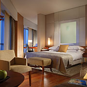 Panorama Room w/King-size Bed at the Swissotel Krasnye Holmy in Moscow, Russia